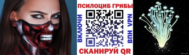 Псилоцибиновые грибы мицелий Уржум